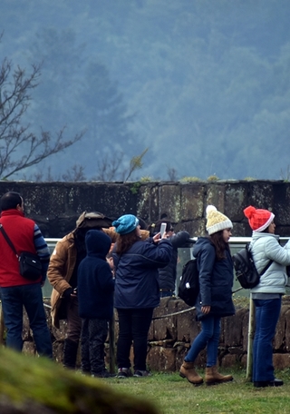 Guiados a propina voluntaria