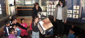 Juegos interactivos.