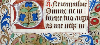 "D" con pensamientos en su interior