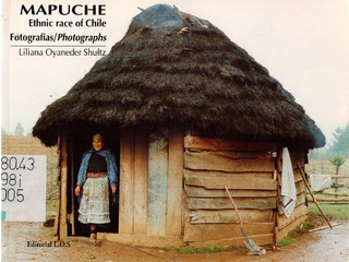 Mapuche, Ethnic race of Chile (2005)