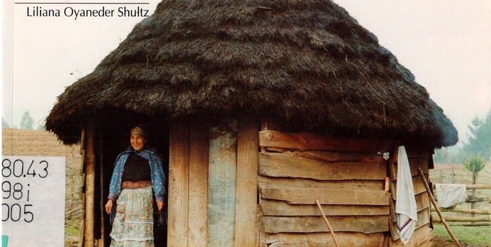 Mapuche, Ethnic race of Chile (2005)