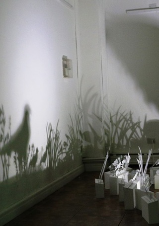 Proyección de un humedal, de la artista visual Valeska Roa