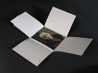 Retrato retocado de Petronila Alcayaga en estuche de conservación (Archivo CNCR, Rivas, V. 2013)