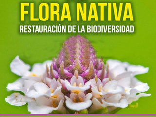 Flora Nativa