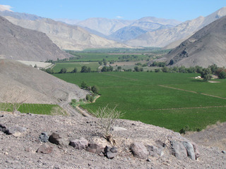 Guaira y Valle de Copiapó