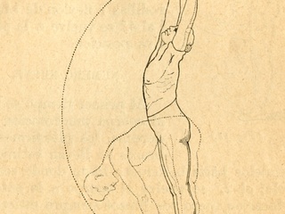 Movimientos de elongación y respiración