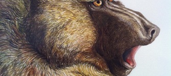 Obra de Mariana Vadell, artista invitada.