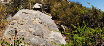 Petroglifo valle de Chalinga, provincia de Coquimbo