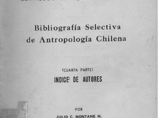 Contribuciones Arqueológicas N° 5