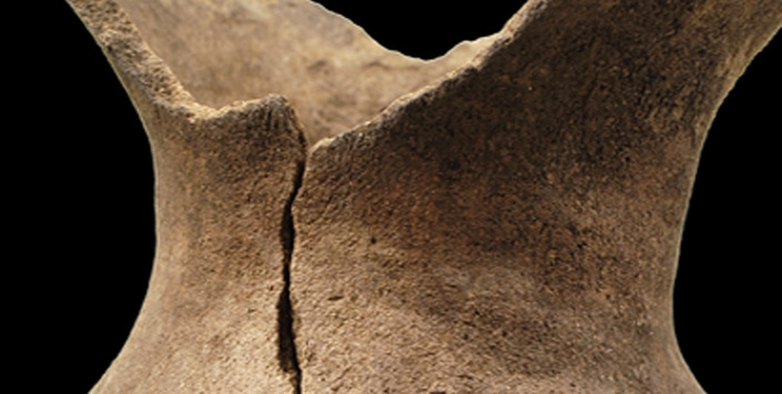 Detalle ceramio globular. Complejo cultural El Molle. Museo Arqueológico de la Serena