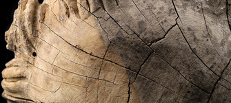 Detalle de limpieza en zona de la cabeza de San Antonio. Museo de Linares