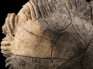 Detalle de limpieza en zona de la cabeza de San Antonio. Museo de Linares