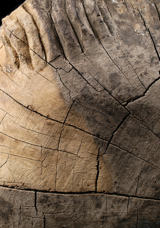 Detalle de limpieza en zona de la cabeza de San Antonio. Museo de Linares