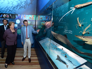 Presidenta de la República y Director de la Dibam