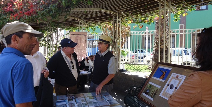 Exposiciones en la Plaza de la Cultura
