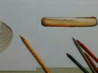 Ilustración Científica