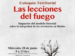 Las Lecciones del Fuego