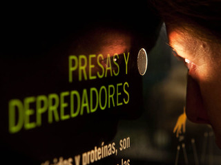 Los Misterios del Museo