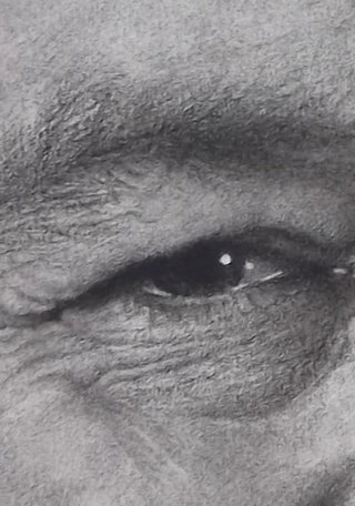 Detalle de obra, Paula Lynch