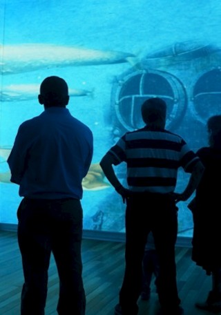 Biodiversidad en la región central