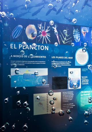 Biodiversidad en la región central