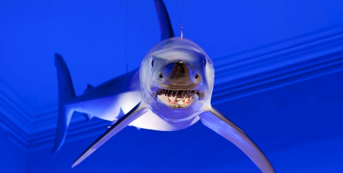 Biodiversidad en la región central