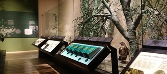 Biodiversidad en la región central