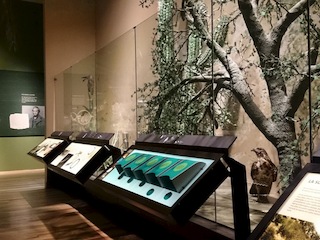 Biodiversidad en la región central