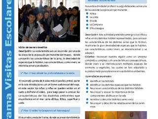 Sugerencias para la visita libre