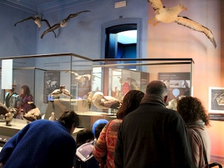 Día del Patrimonio Cultural