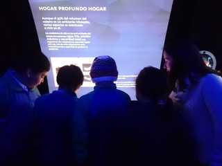 Taller de vacaciones de verano