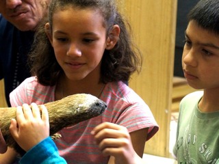TALLER FAMILIAR "BIODIVERSIDAD EN MI REGIÓN"