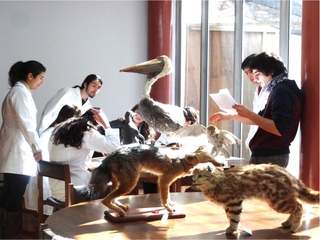 Alumnos carrera Biología