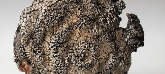 Detalle de obra en exposición.