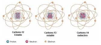 Isótopos de carbono