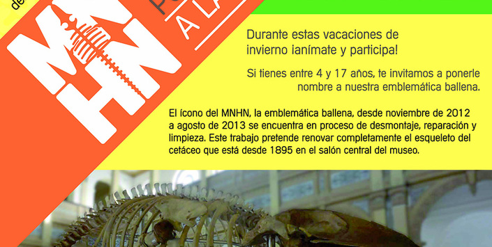 Afiche Concurso: PONLE NOMBRE A LA BALLENA