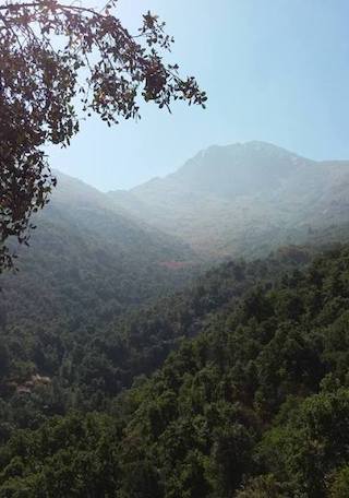 Expedición de Equipos Educativos al Parque Nacional La Campana
