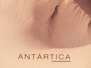 Exposición Temporal