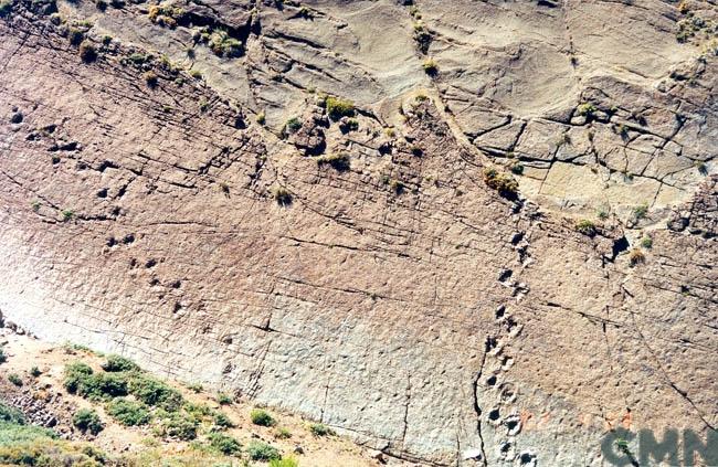 Imagen del monumento Sitio donde se conservan huellas de animales extinguidos en el lugar denominado "Termas del Flaco"
