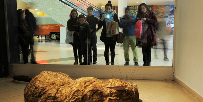 Detalle de obra de Sebastián Silvat. Foto de Claudio Quiroz.