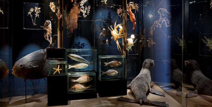 139 años de historia