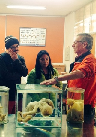 Develando Colecciones junto al Biólogo del Museo