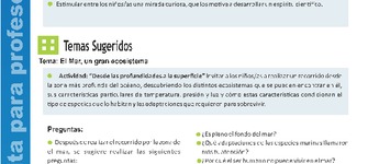 Pauta para profesores 3