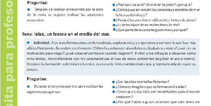 Pauta para profesores 4
