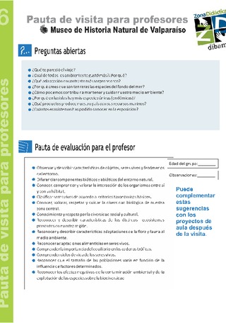 Pauta para profesores 6