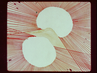 Copyright Fundación Bauhaus Dessau