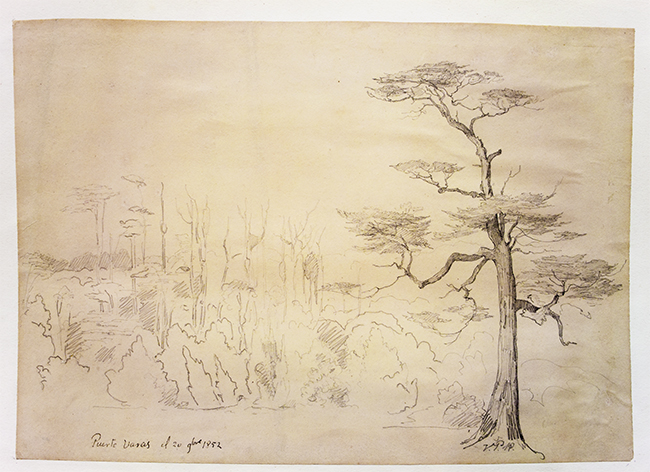 Puerto Varas Puerto Varas