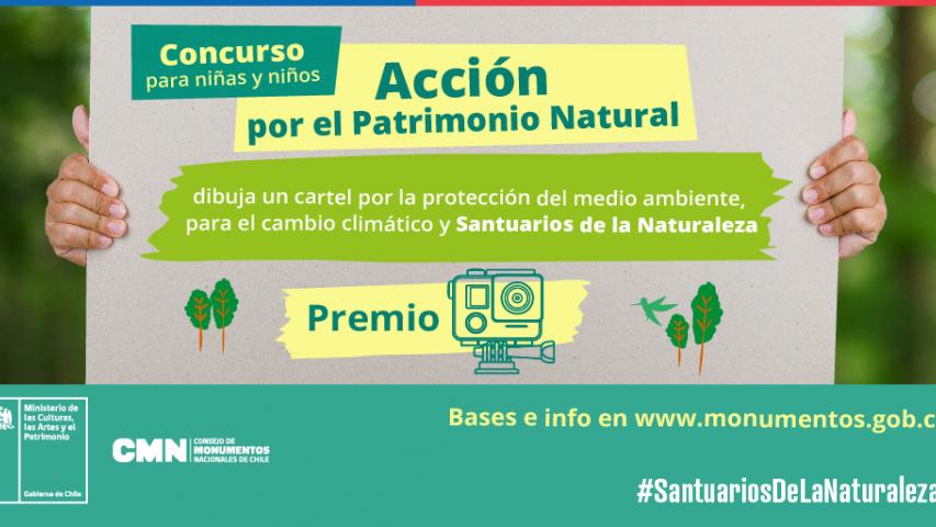 Imagen de Bases del sorteo para niñas y niños “Acción por el medio ambiente”