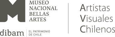 Museo Nacional de Bellas Artes, Artistas Visuales Chilenos Museo Nacional de Bellas Artes, Artistas Visuales Chilenos