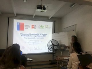 Expositora del Ministerio del Medio Ambiente, Leisy Amaya (Encargada Nodo GBIF-Chile, Departamento de Conservación de Especies).